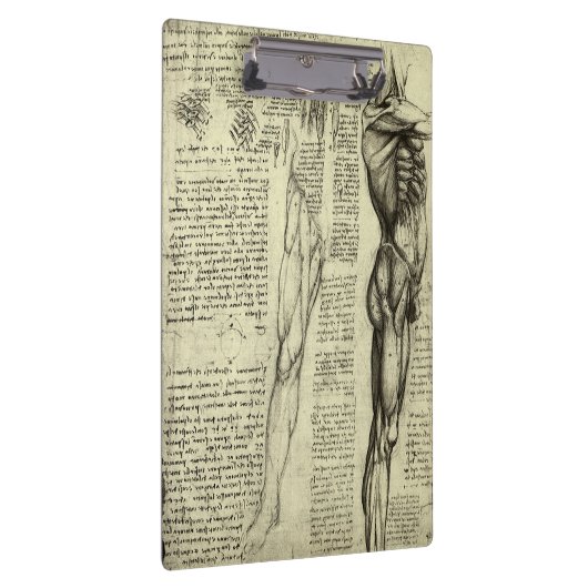 レオナルド・ダ・ヴィンチのヒト解剖学的男性筋肉 クリップボード (右)