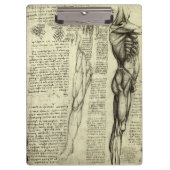 レオナルド・ダ・ヴィンチのヒト解剖学的男性筋肉 クリップボード (正面)