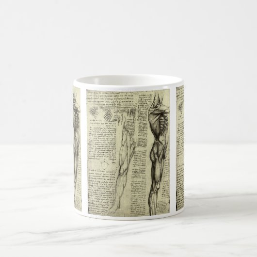 レオナルド・ダ・ヴィンチのヒト解剖学的男性筋肉 コーヒーマグカップ (中央)