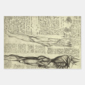 レオナルド・ダ・ヴィンチのヒト解剖学的男性筋肉 ラッピングペーパーシート (正面3)