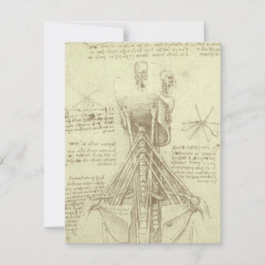 レオナルド・ダ・ヴィンチのヒト解剖学的脊柱 (正面)