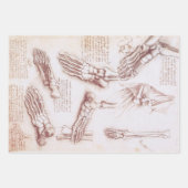 レオナルド・ダ・ヴィンチのヒト解剖学足骨 ラッピングペーパーシート (正面)