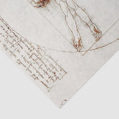 レオナルド・ダ・ヴィンチのヴィトゥルーアン・マンデクページ 薄葉紙 (詳細)