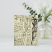 レオナルド・ダ・ヴィンチの人体解剖学　男性の筋肉 (スタンド正面)