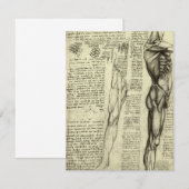 レオナルド・ダ・ヴィンチの人体解剖学　男性の筋肉 (正面/裏面)