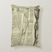 レオナルド・ダ・ヴィンチの人体解剖学　男性の筋肉 アクセントクッション (裏面(縦))