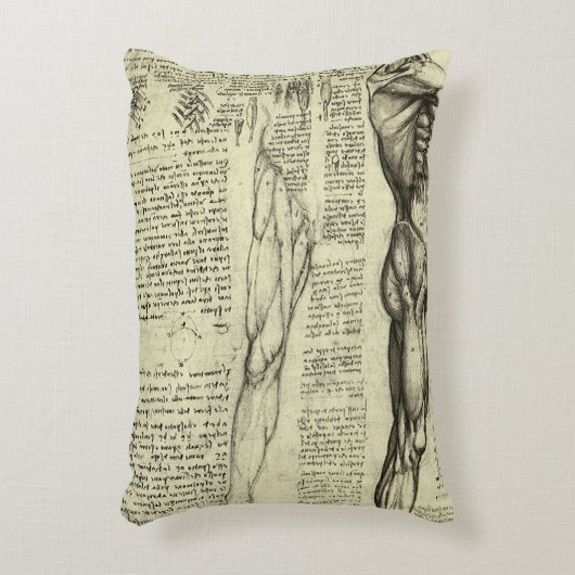 レオナルド・ダ・ヴィンチの人体解剖学　男性の筋肉 アクセントクッション (正面(垂直))