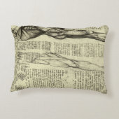 レオナルド・ダ・ヴィンチの人体解剖学　男性の筋肉 アクセントクッション (裏面)