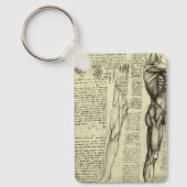 レオナルド・ダ・ヴィンチの人体解剖学　男性の筋肉 キーホルダー (正面)