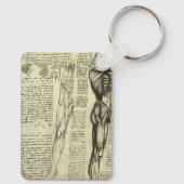 レオナルド・ダ・ヴィンチの人体解剖学　男性の筋肉 キーホルダー (裏面)