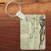 レオナルド・ダ・ヴィンチの人体解剖学　男性の筋肉 キーホルダー (正面)