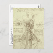 レオナルド・ダ・ヴィンチの人体解剖学 - 脊柱 ポストカード (正面/裏面)