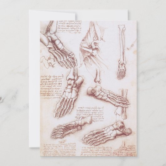 レオナルド・ダ・ヴィンチの人体解剖学 足の骨 (正面)