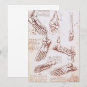 レオナルド・ダ・ヴィンチの人体解剖学 足の骨 (正面/裏面)