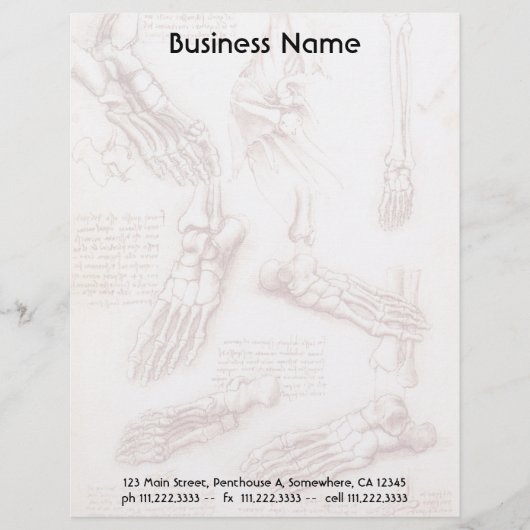 レオナルド・ダ・ヴィンチの人体解剖学 足の骨 レターヘッド (正面)