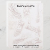 レオナルド・ダ・ヴィンチの人体解剖学 足の骨 レターヘッド (正面/裏面)