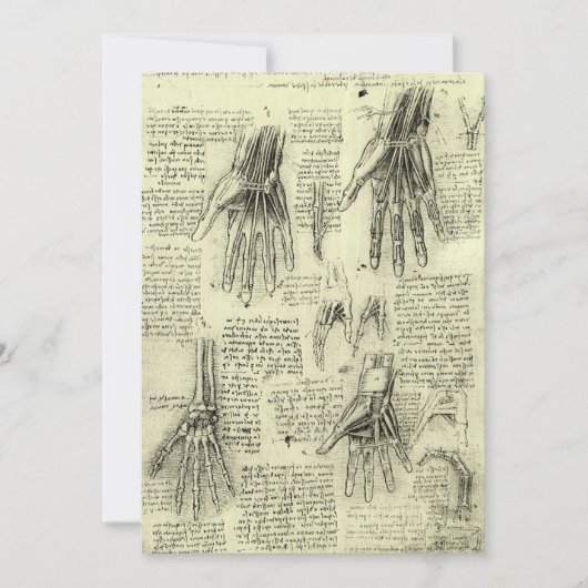 レオナルド・ダ・ヴィンチの人間の手の解剖学 (正面)