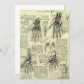 レオナルド・ダ・ヴィンチの人間の手の解剖学 (正面/裏面)