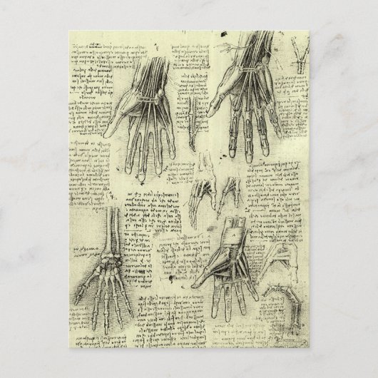レオナルド・ダ・ヴィンチの人間の手の解剖学 ポストカード (正面)