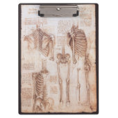 レオナルド・ダ・ヴィンチの人間の解剖学的骨格の骨 クリップボード (正面)
