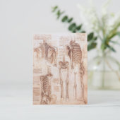 レオナルド・ダ・ヴィンチの人間の解剖学的骨格の骨 ポストカード (スタンド正面)