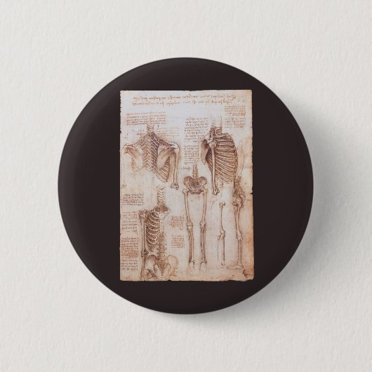 レオナルド・ダ・ヴィンチの人間の解剖学的骨格の骨 缶バッジ (正面)
