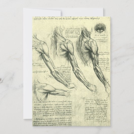 レオナルド・ダ・ヴィンチの腕と肩の構造 (正面)