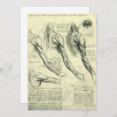 レオナルド・ダ・ヴィンチの腕と肩の構造 (正面/裏面)