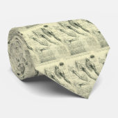 レオナルド・ダ・ヴィンチの腕と肩の構造 ネクタイ (ロール)