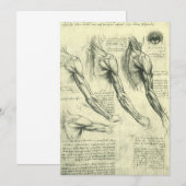 レオナルド・ダ・ヴィンチの腕と肩の解剖学 (正面/裏面)