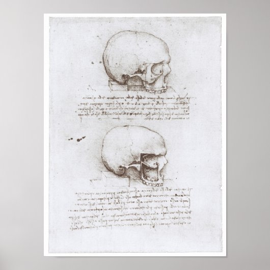 レオナルド・ダ・ヴィンチスカルの側面図 ポスター (正面)