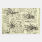 レオナルド・ダ・ヴィンチ違う3ヒト解剖学デザイン ラッピングペーパーシート (正面2)