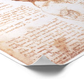 レオナルド・ダ・ヴィンチ・トルソの筋肉 ポスター (角)