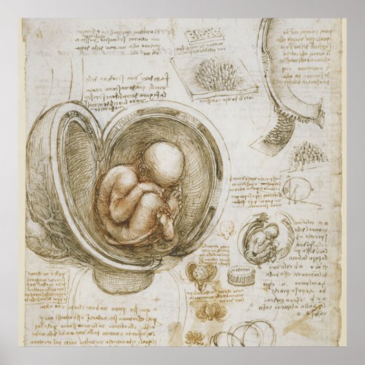 レオナルド・ダ・ヴィンチ ポスター (正面)