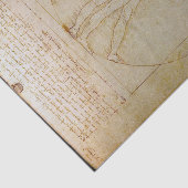 レオナルド・ダ・ヴィンチ、ヴィトルヴィアン・マン、ルネッサンス 薄葉紙 (詳細)