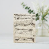 レオナルド・ダ・ヴィンチ: 二頭筋による腕の勉強 ポストカード (スタンド正面)