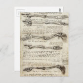 レオナルド・ダ・ヴィンチ – Arm Artworkの勉強 ポストカード (正面/裏面)