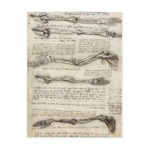 レオナルド・ダ・ヴィンチ – Arm Artworkの勉強