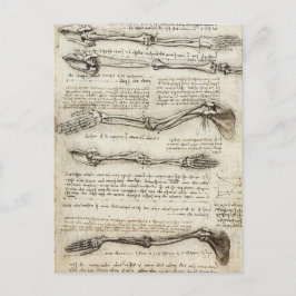 レオナルド・ダ・ヴィンチ – Arm Artworkの勉強 ポストカード