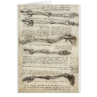 レオナルド・ダ・ヴィンチc. 1510年著腕の勉強