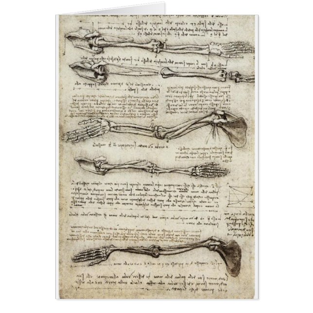 レオナルド・ダ・ヴィンチc. 1510年著腕の勉強 (正面)