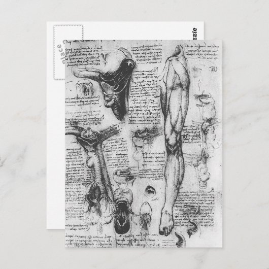 レオナルド・ヴィンチ – 解剖学的勉強(喉頭と脚) ポストカード (正面/裏面)