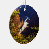 レオハリソンセントPk～Paグランドキャニオン セラミックオーナメント (右)