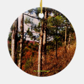 レオハリソンセントPk～Paグランドキャニオン セラミックオーナメント (裏面)