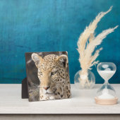 レオパードポートレート フォトプラーク (インサイチュ)