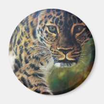 レオパード歩くアットサンセット