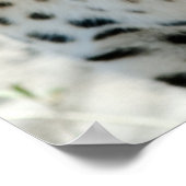 レオパード顔サイドビュー ポスター (角)