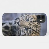 レオパードCub iPhone 11ケース Case-Mate iPhoneケース (裏面(横))