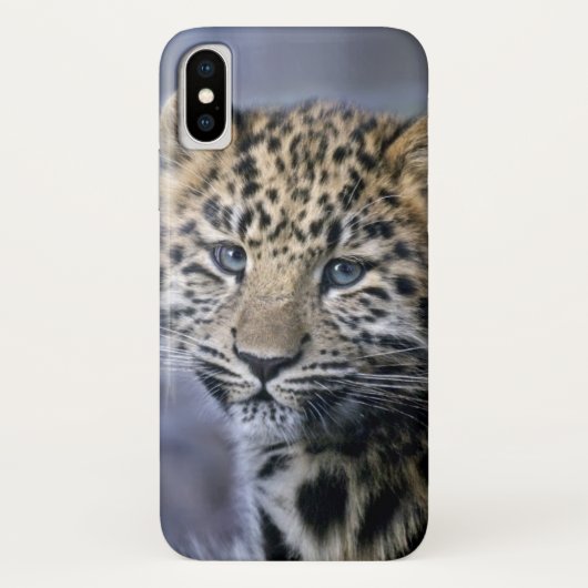 レオパードcub iPhone Xケース Case-Mate iPhoneケース (裏面)