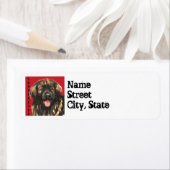 レオンバーガーカラーブロック ラベル (インサイチュ)